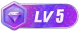 LV5 等级-LV5-星理